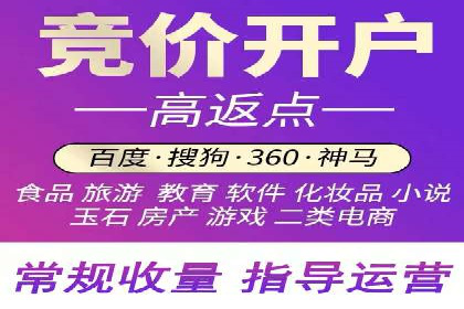 百度推广在电商行业的应用案例分析